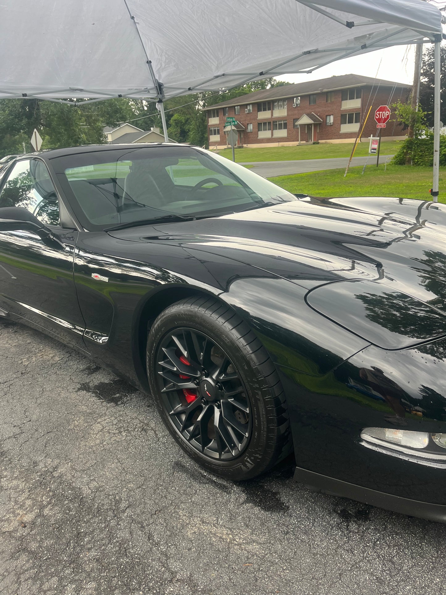 The Signature Detail