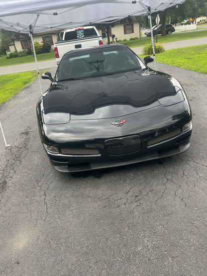 Exterior Detailing